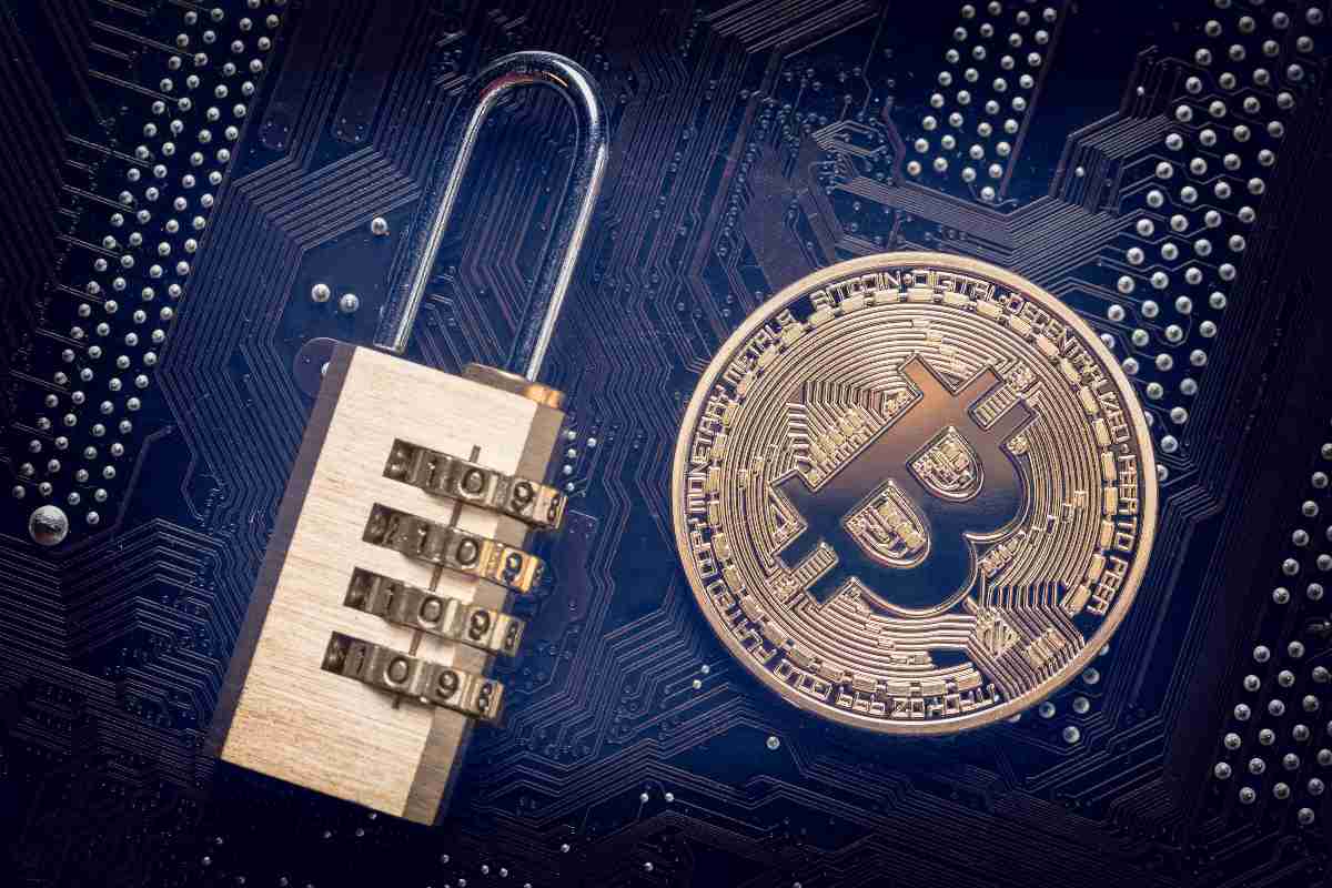 face tranzacționare cripto yse day