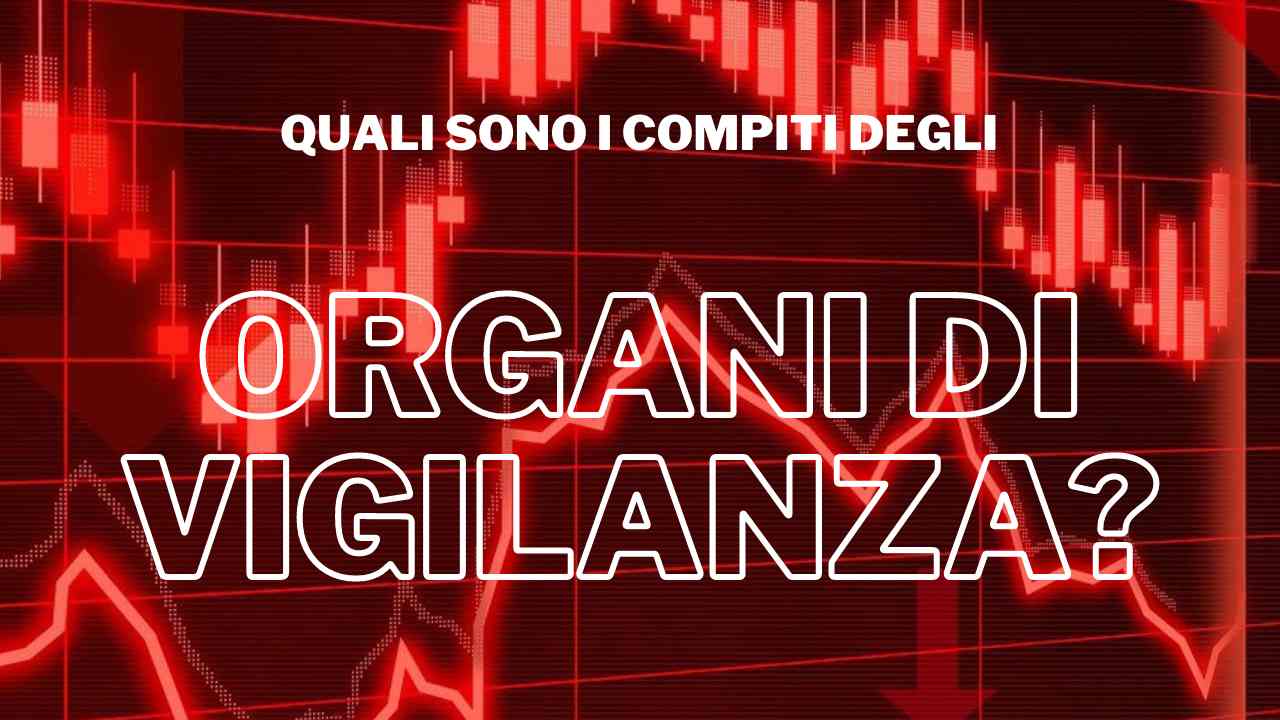 Quali Sono Gli Organi Di Vigilanza