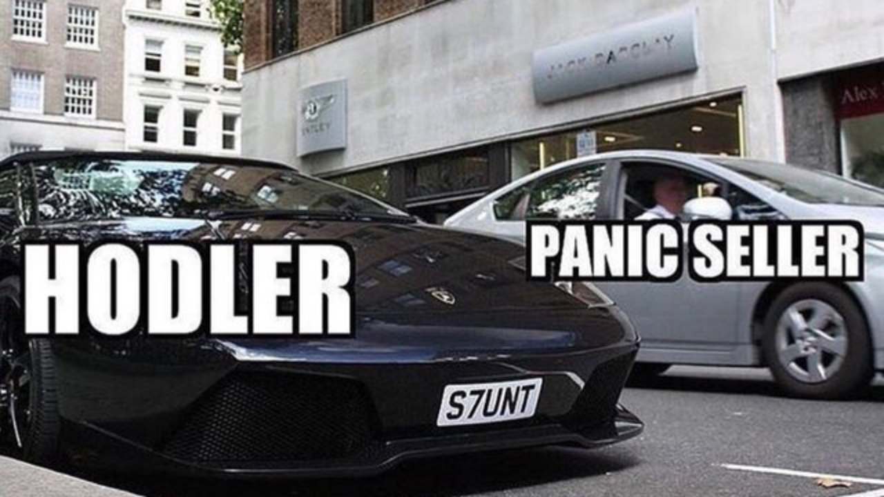 meme holder vs panic seller