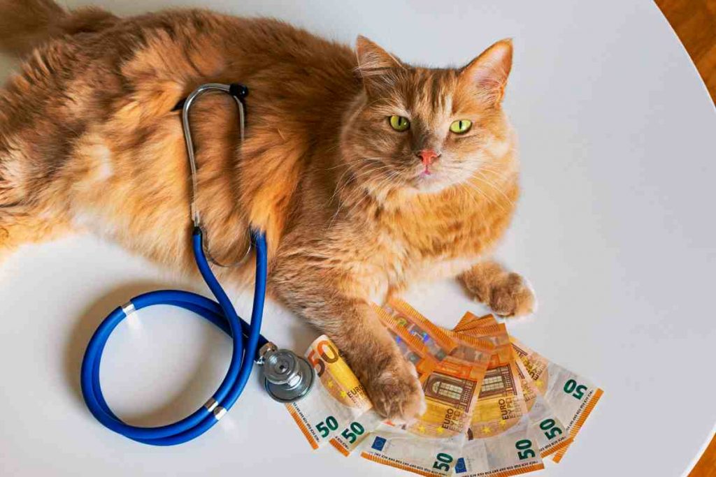 Bonus spese veterinarie con e senza legge 104