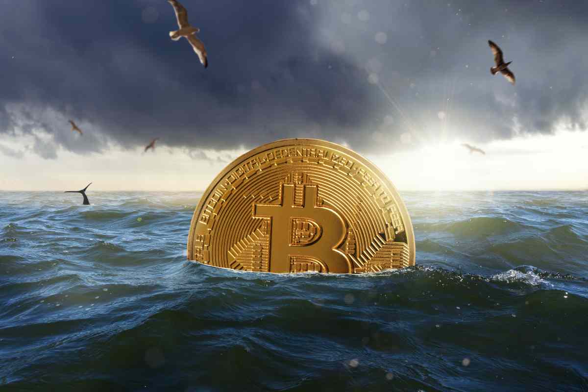 mare bitcoin