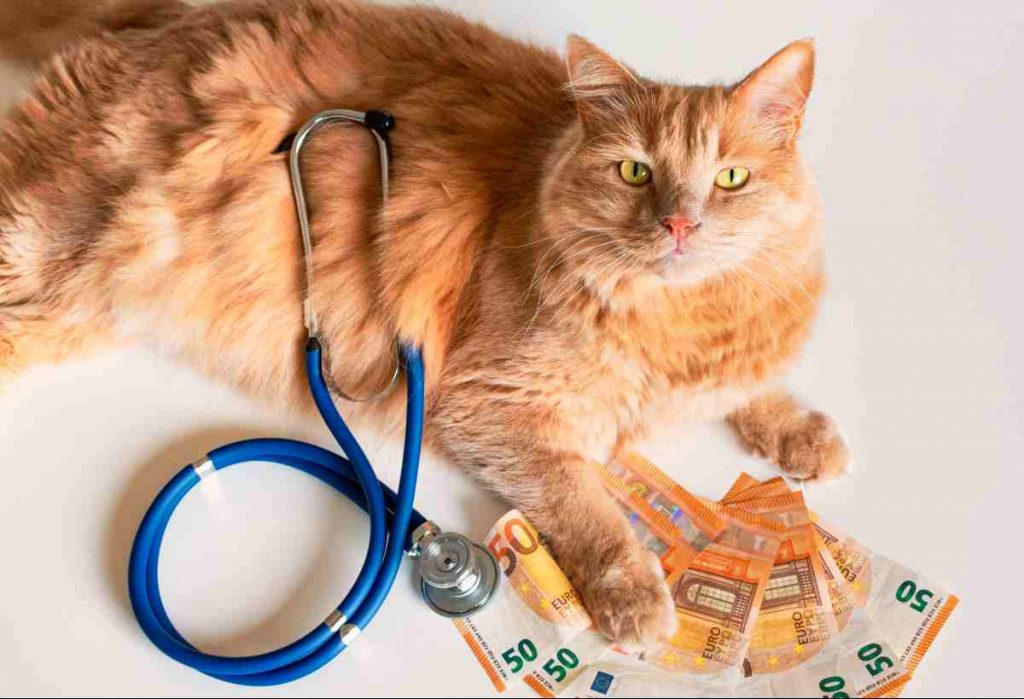 Detrazioni nel 730/2022: dalle spese veterinarie al bonus musica e casa