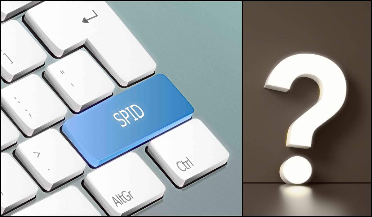 Spid, problemi di accesso a NoiPA e INPS: i passaggi da conoscere