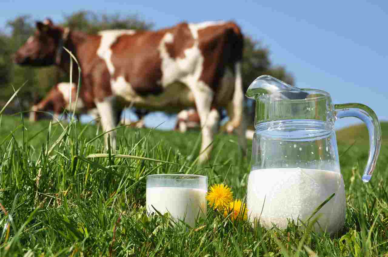 Latte contaminato dai pesticidi, scatta l'allarme per i consumatori: ecco le marche da segnare