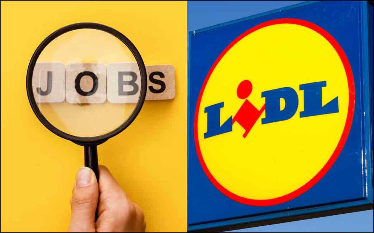 lavoro lidl