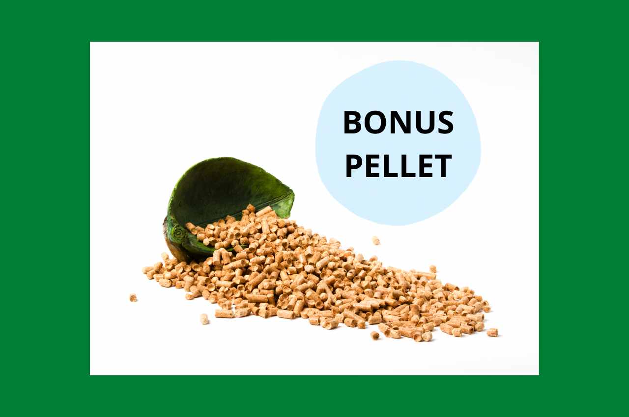 bonus pellet