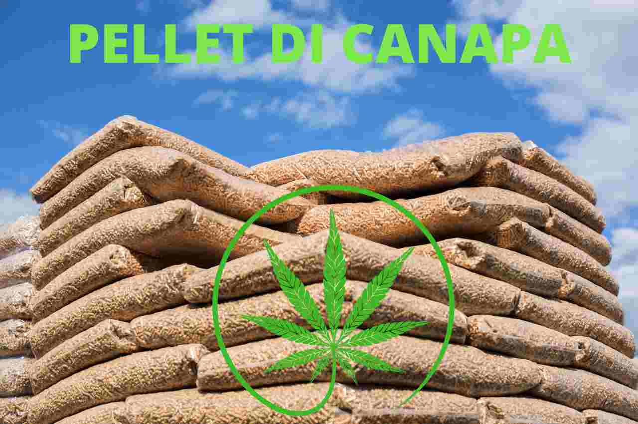 novità pellet di canapa