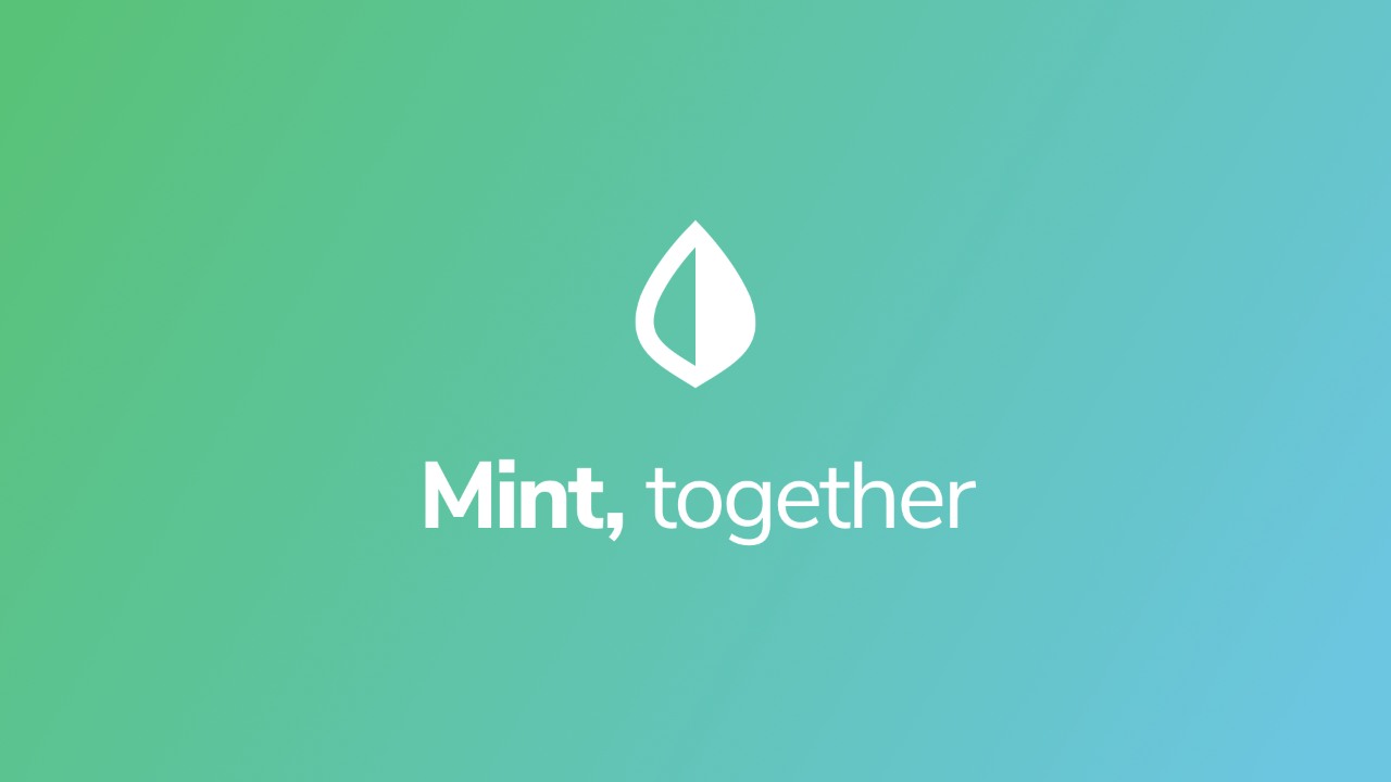 mint portfolio manager