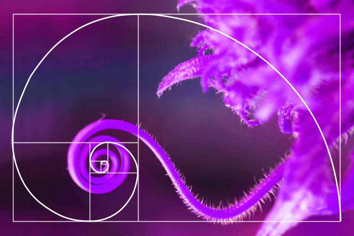 fibonacci trading 