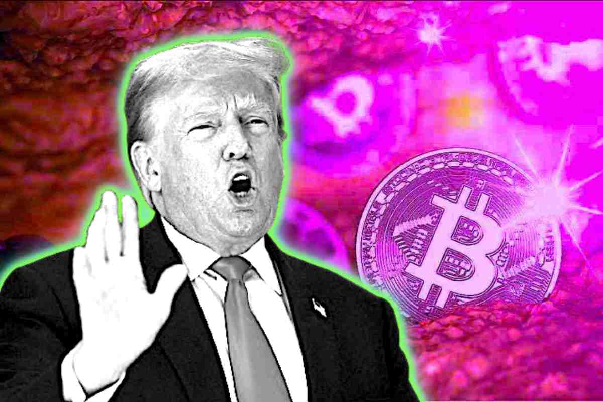 trump bitcoin nft