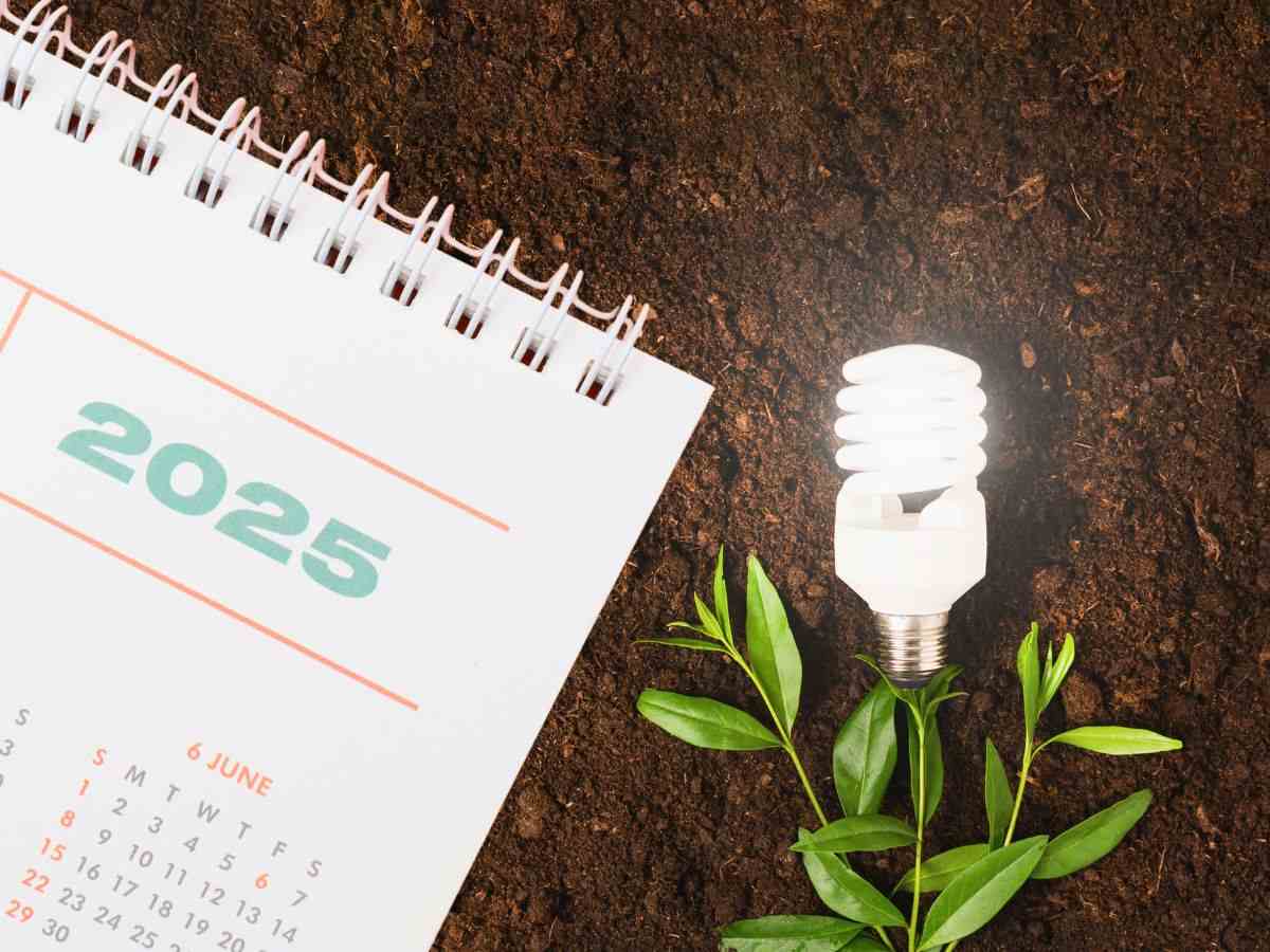 sfondo lampadina illuminata con pianta e calendario 2025
