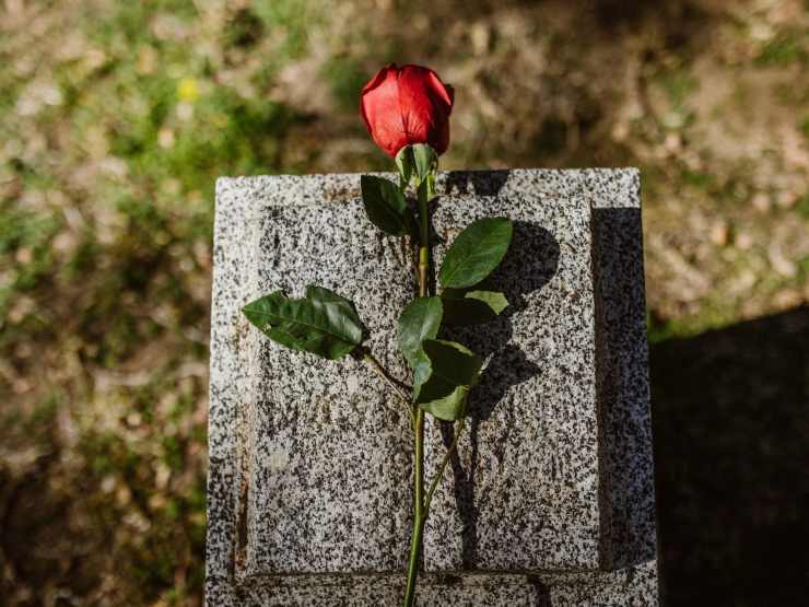 lapide con rosa rossa sopra