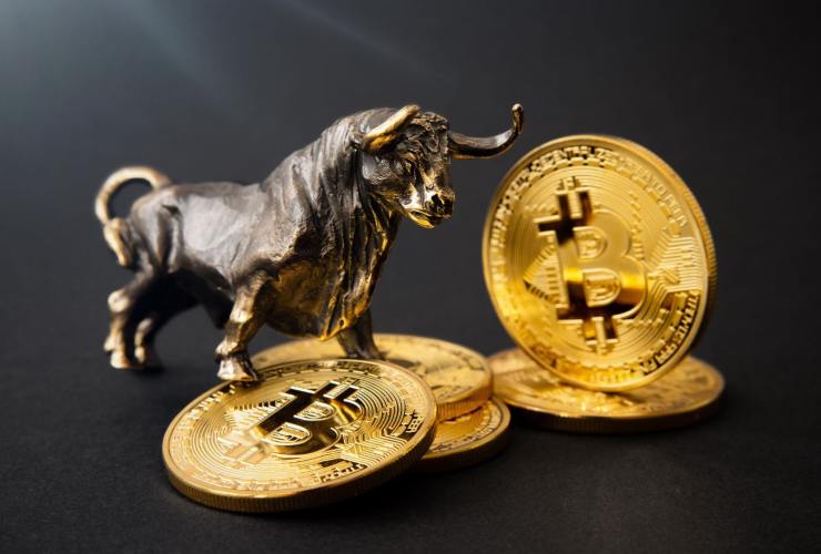 Bitcoin e toro in metallo