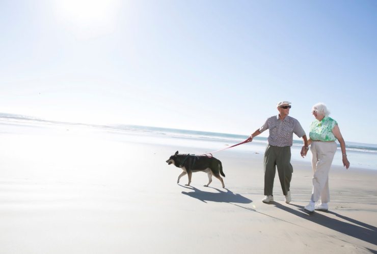 Pensionati sulla spiaggia con il cane