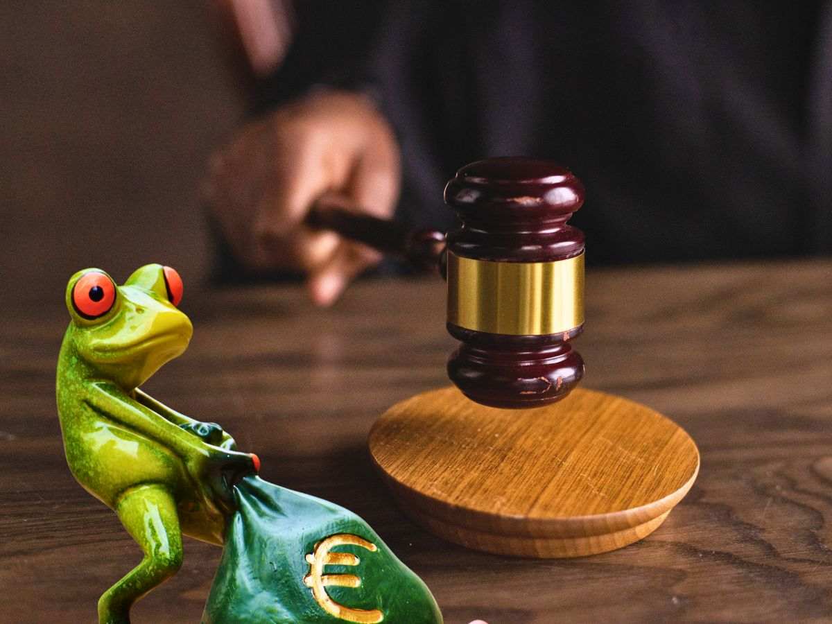sfondo giudice che sbatte martelletto e sagoma rana con sacco con simbolo euro