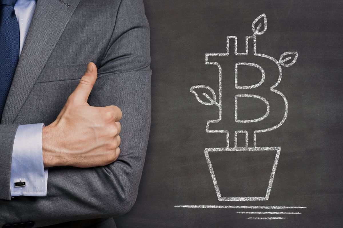 Persona con il pollice all'insù e disegno di una pianta di Bitcoin