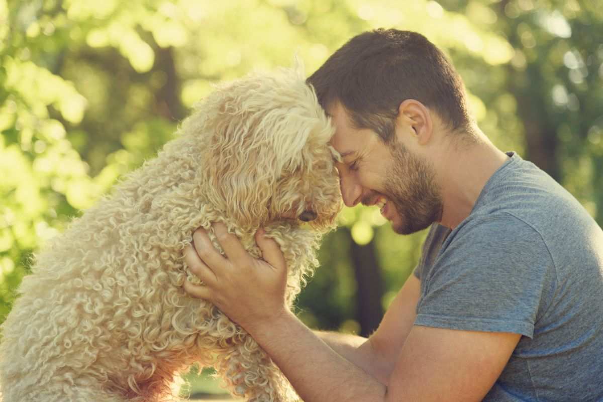 Abbraccio fra cane e padrone