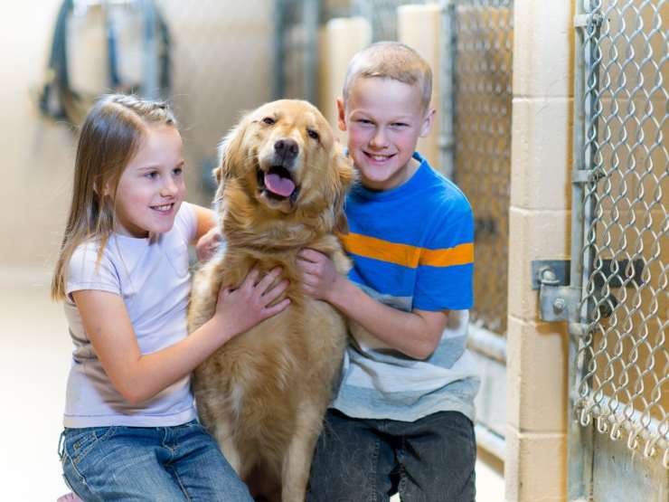 bambini con cane adottato