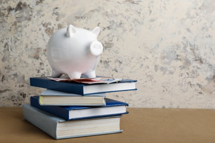 maialino salvadanaio sopra banconote euro sopra libri contabili