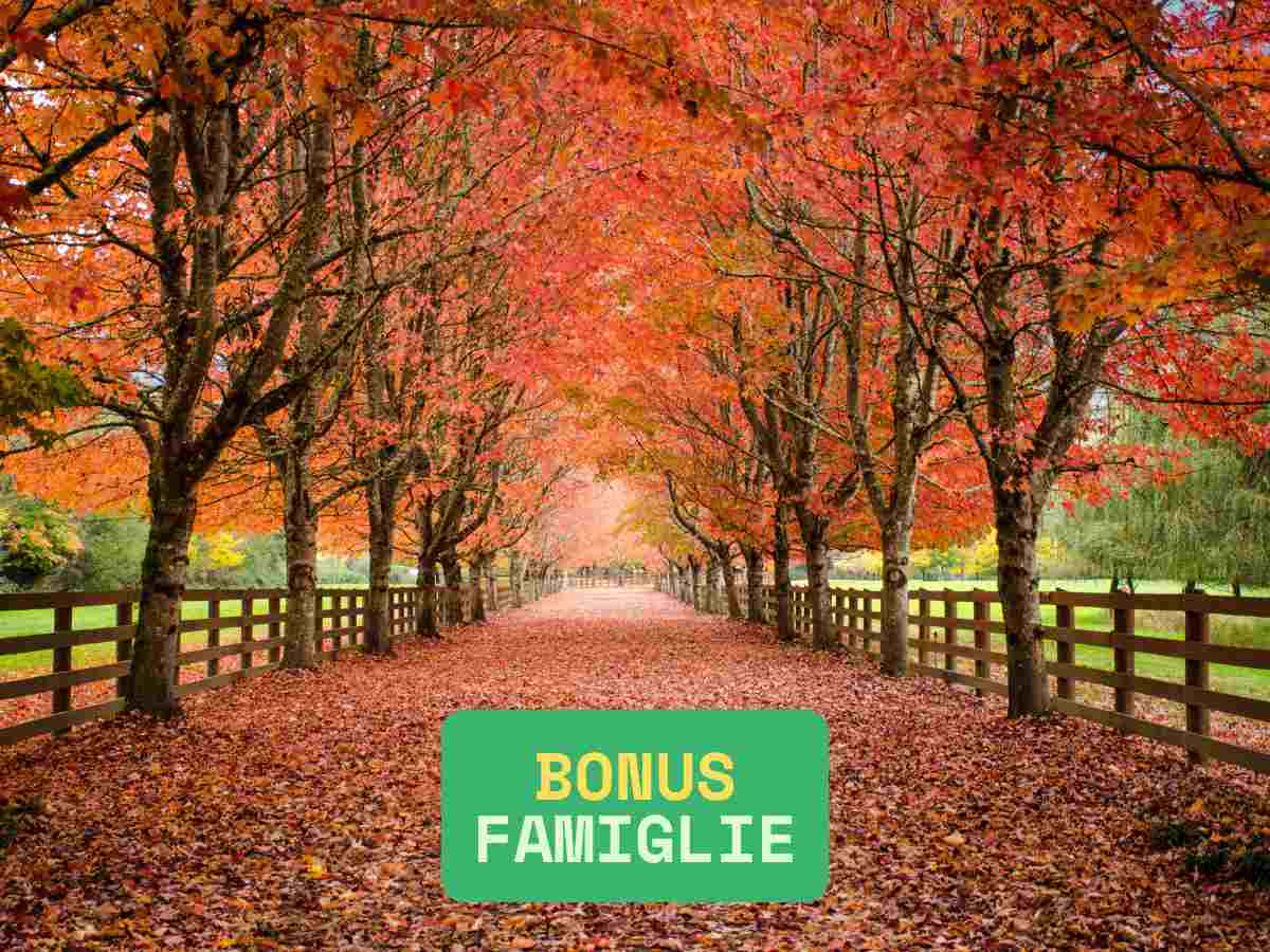 bonus famiglie