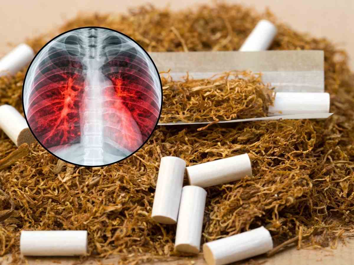 sfondo tabacco, filtri e cartine e tondo con danni fumo ai polmoni