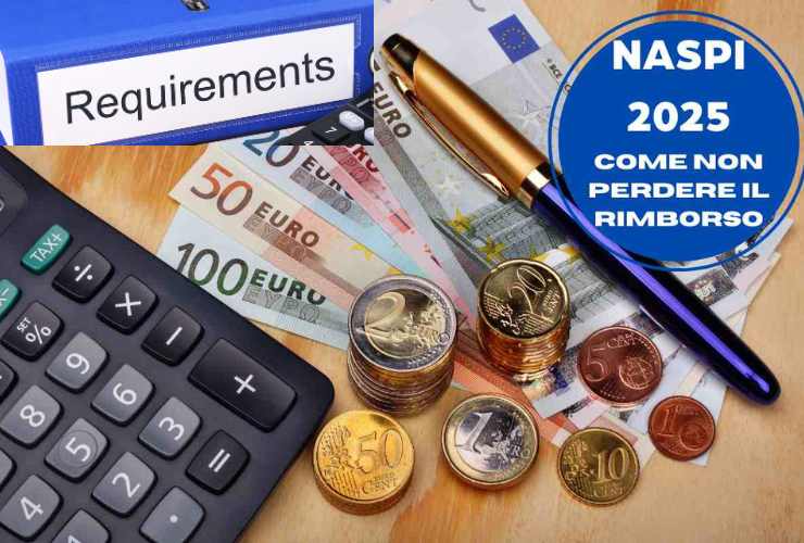 naspi pensione requisiti