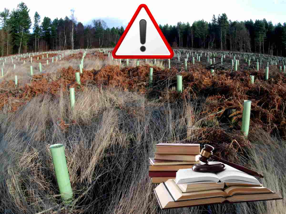 terreno abbandonato responsabilità