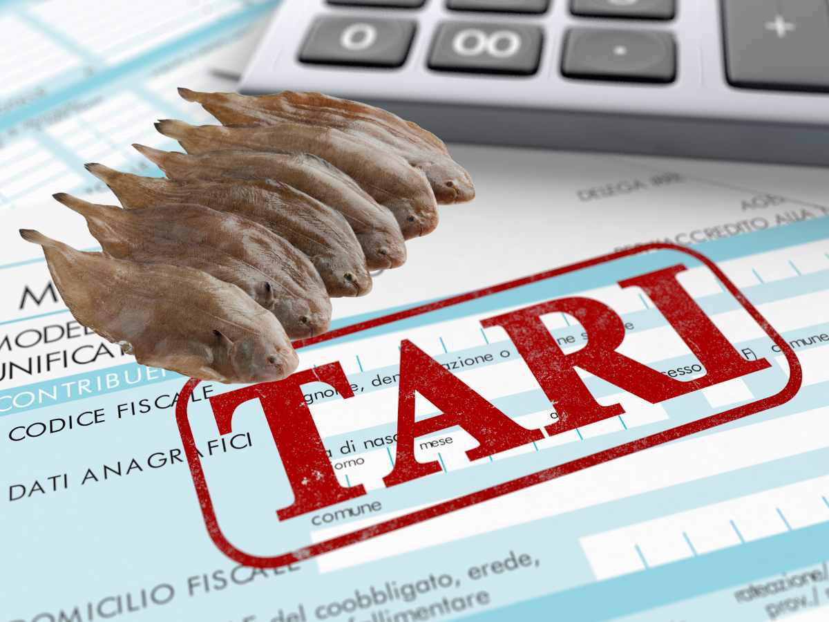 tari bonus