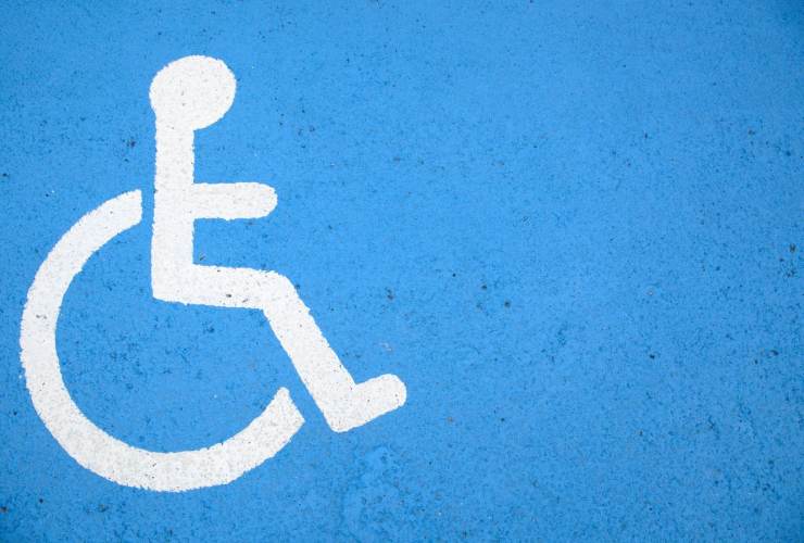 simbolo disabilità