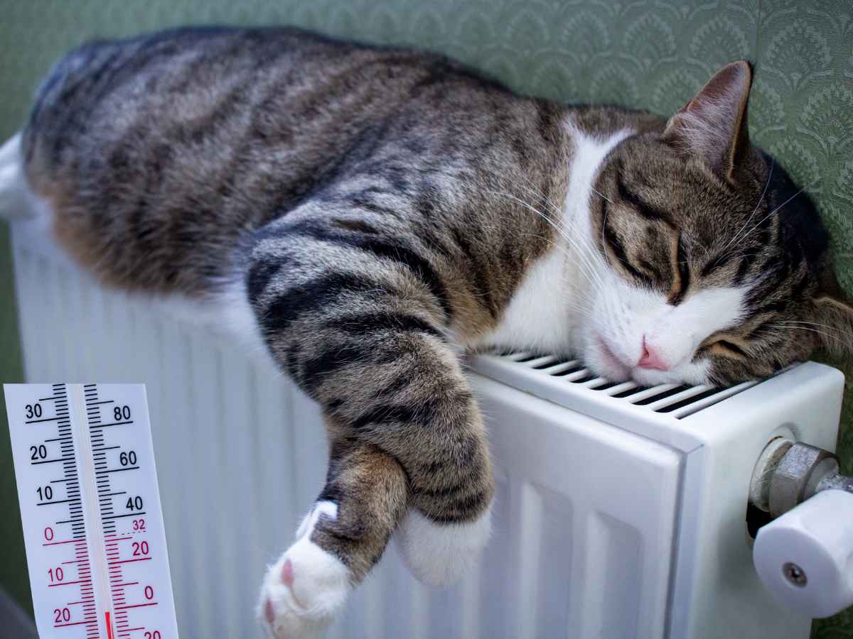termosifoni temperatura bassa