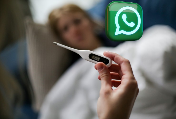whatsapp malattia