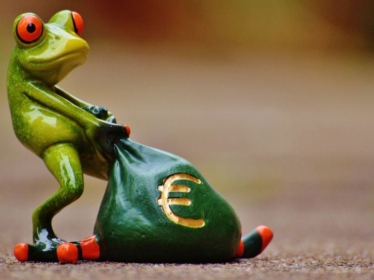 Rana che porta un sacco pieno di soldi